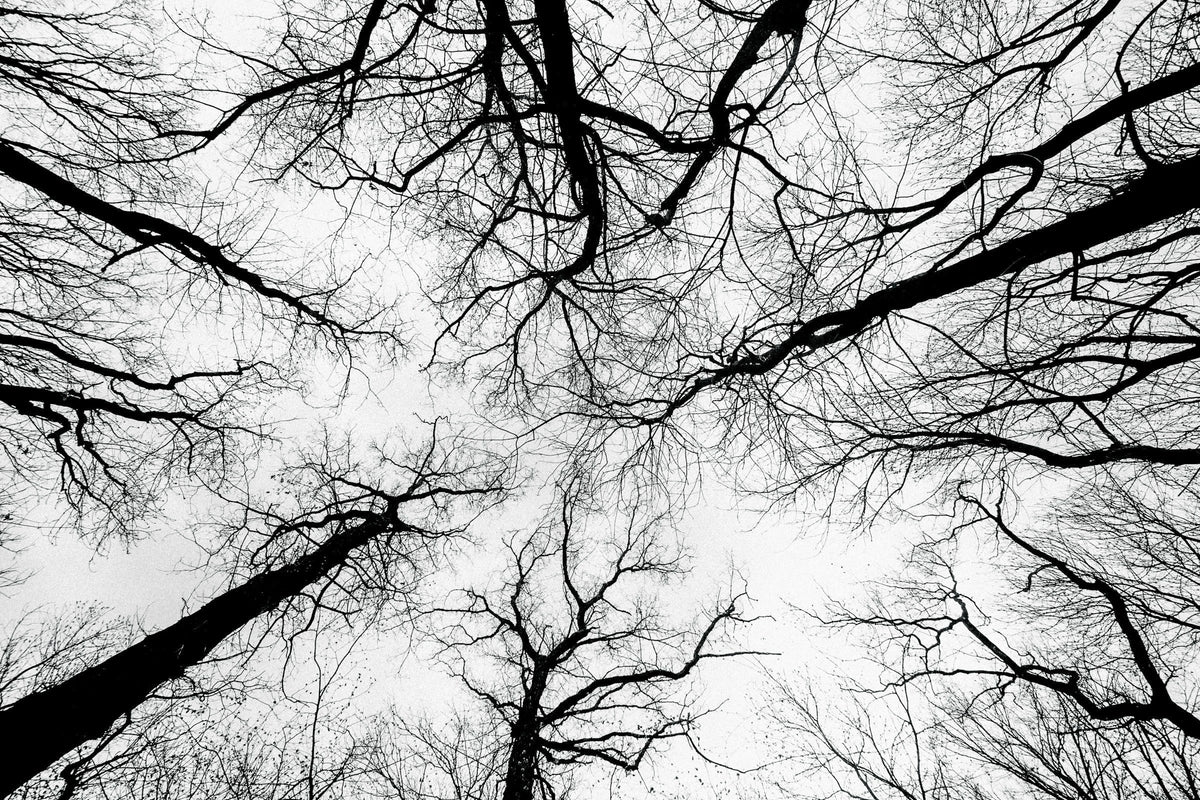 Your Nervous System Is Also a Skincare Ingredient