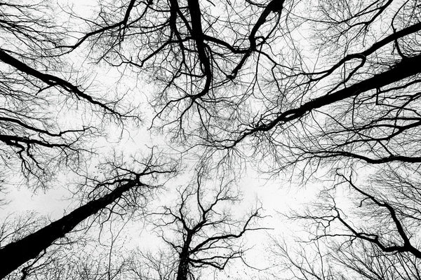 Your Nervous System Is Also a Skincare Ingredient